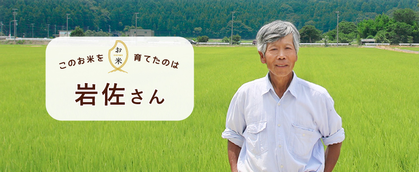 このお米を育てたのは岩佐さん こほく米専門店 お米屋さん 滋賀県 長浜市 湖北米