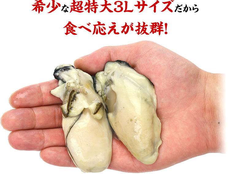 最大89％オフ！希少な超特大3Lサイズ限定販売 ジャンボ 広島 牡蠣 FF 化粧箱 徳用 約25粒×2袋） 冷凍 かき カキ 2kg（1kg  プレゼント 牡蠣