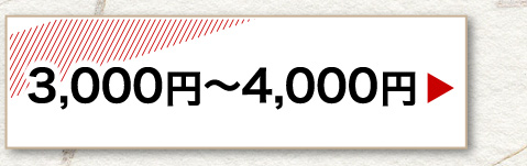 3,000円～4,000円