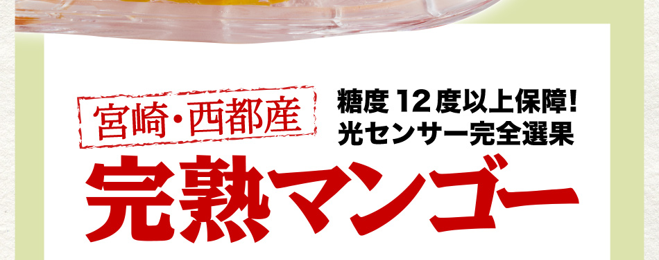 宮崎・西都産 糖度12度以上保証！ 完熟マンゴー
