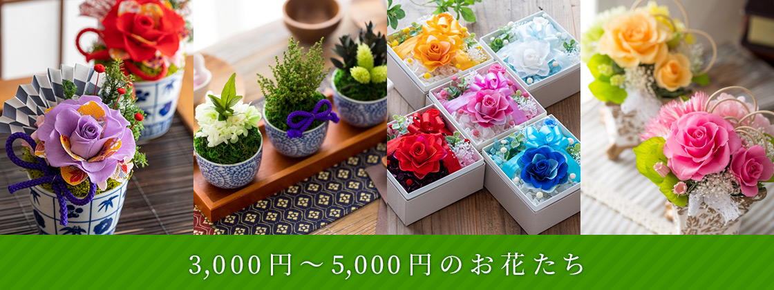 3,000円～5,000円のお花たち