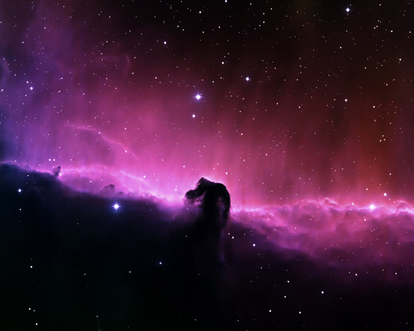 馬頭星雲の画像