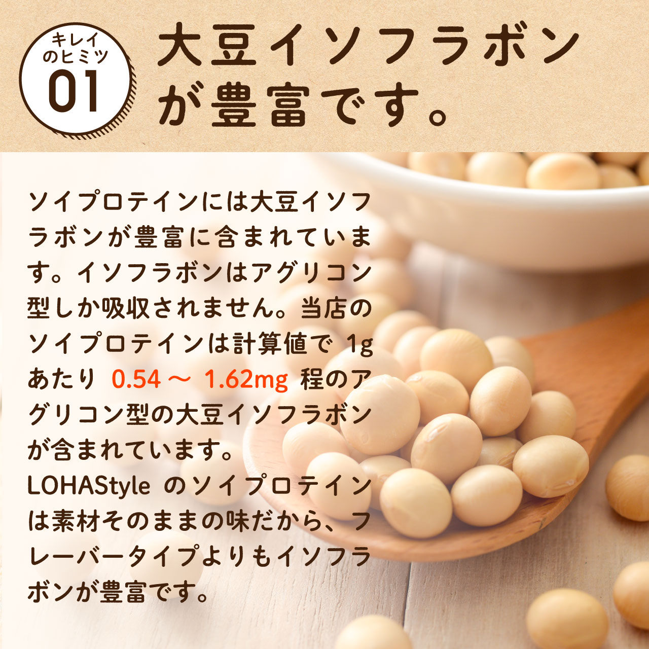 ソイプロテイン 10kg (1kg×10袋) 大豆 プロテイン プレーン 大豆 