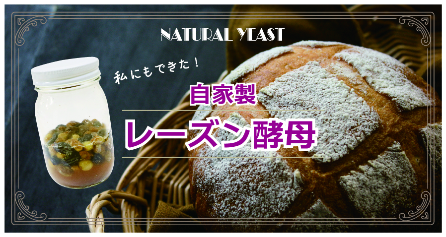 レーズン酵母