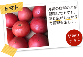 トマト 沖縄のトマトは 冬が旬、 トマト本来の 完熟の香りと 味を楽しめます。