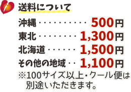 送料について：沖縄500円、東北1300円、 
北海道1500円、その他の地域1100円（100サイズ以上・クール便は別途いただきます