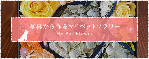 写真から作るマイペットフラワー - My Pet Flower -
