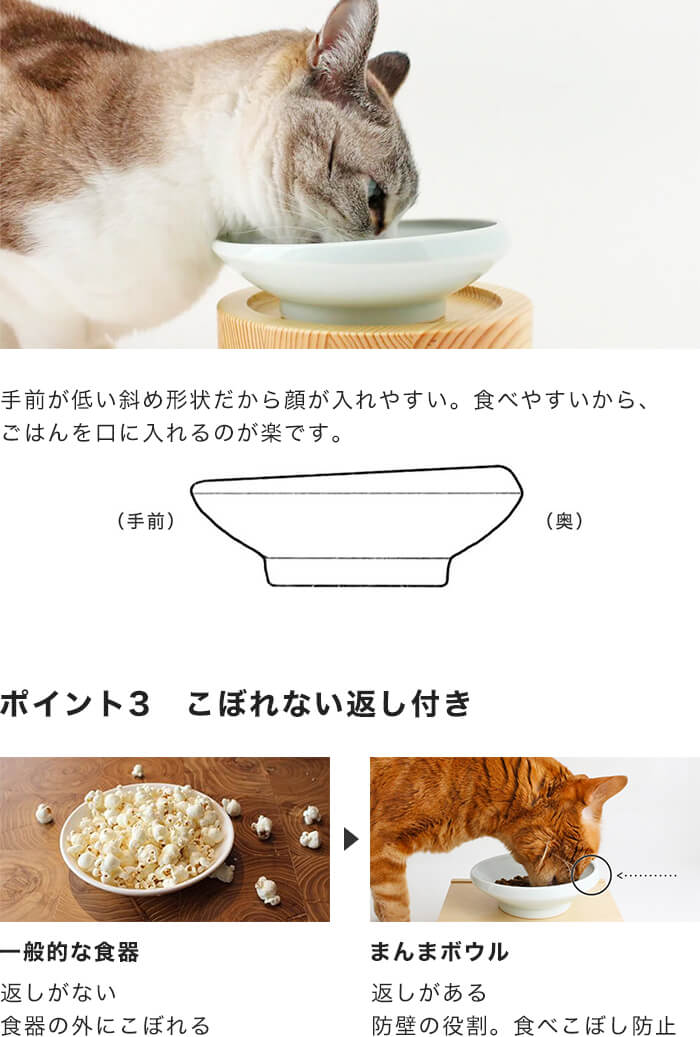 猫が楽に食べられる秘訣は斜め形状と食べこぼし防止機能にあり