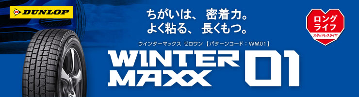 WINTER MAXX 01