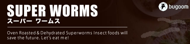 SUPER WORMS(ѡ ॹ)