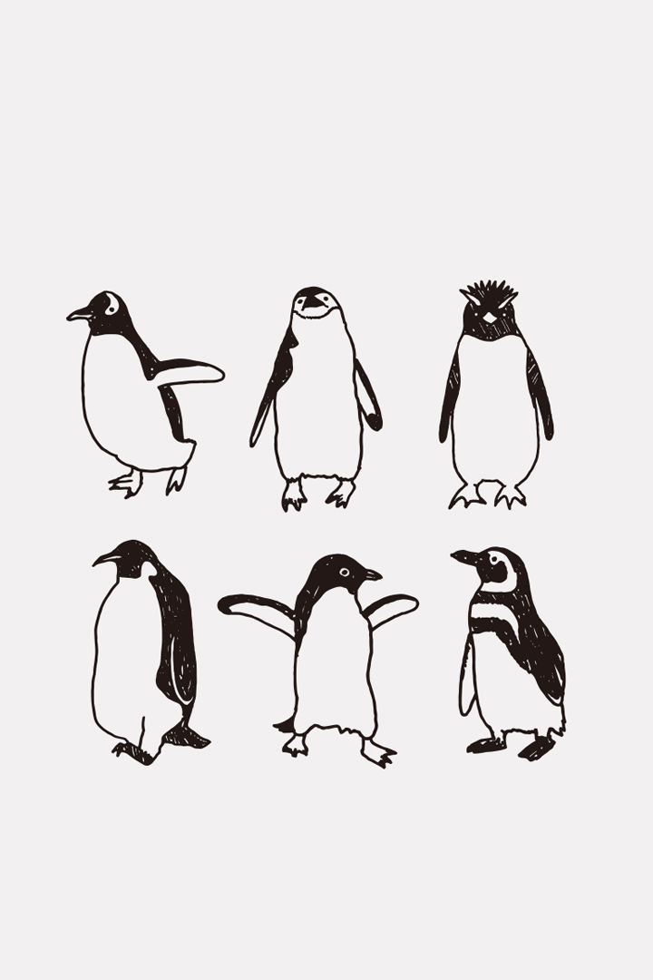 ペンギングッズ ペンギン雑貨の通販サイト ペンギンと スマホ壁紙ギャラリー