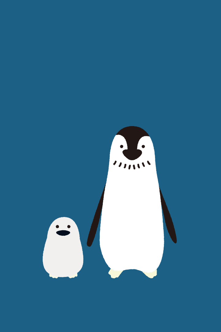 ペンギングッズ ペンギン雑貨の通販サイト ペンギンと スマホ壁紙