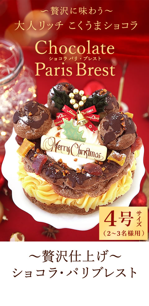 クリスマスケーキ 2022 予約 チョコレートケーキ 4号 [ショコラパリ