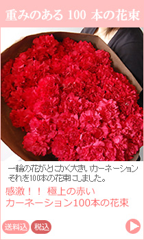 赤いカーネーション 100本の花束