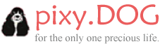 pixy.DOG logo