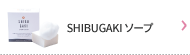SHIBUGAKIソープ