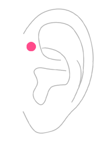 部位から探す：耳・フォワードヘリックス