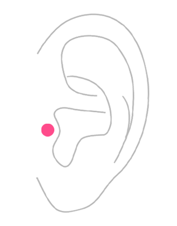 部位から探す：耳・トラガス