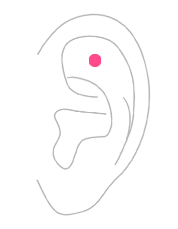 部位から探す：耳・アウターコンク