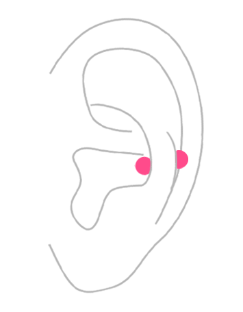 部位から探す：耳・スナッグ