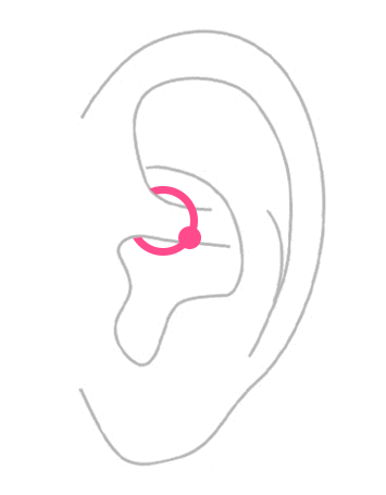 部位から探す：耳・ダイス