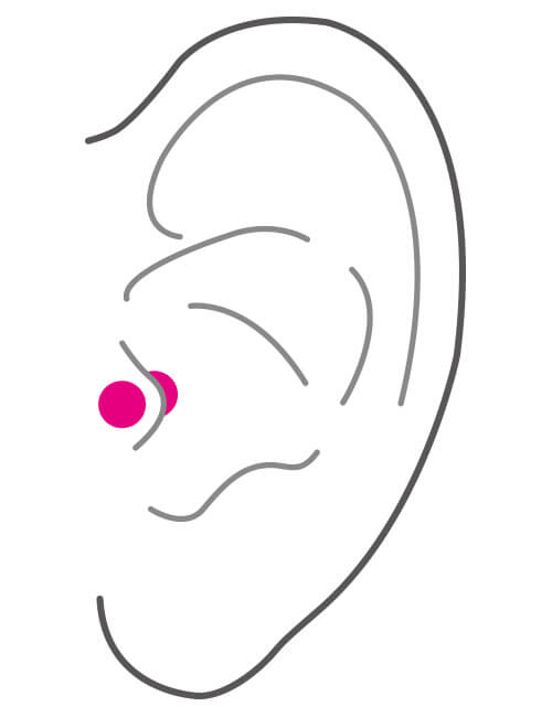 耳の部位 軟骨・トラガス