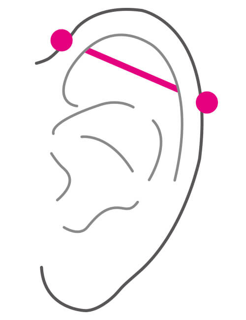 耳の部位 インダス