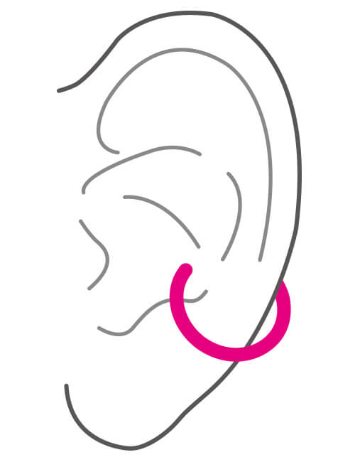 耳の部位 軟骨・インナーコンク