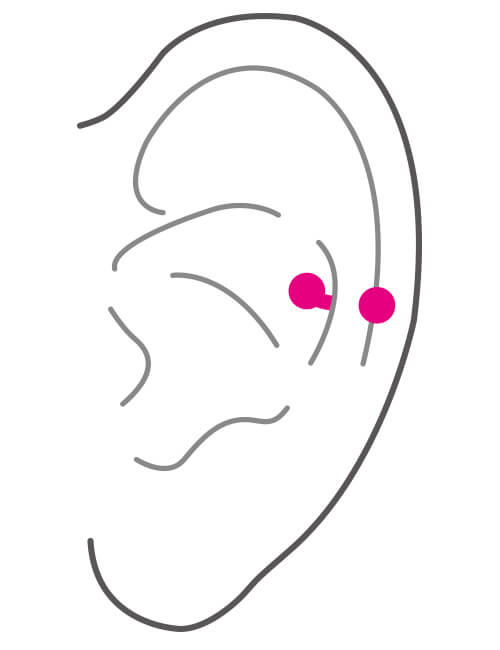 耳の部位 軟骨・スナッグ