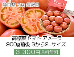 長野静岡高糖度トマトアメーラ