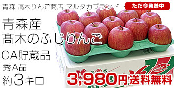 CAふじりんご3キロ
