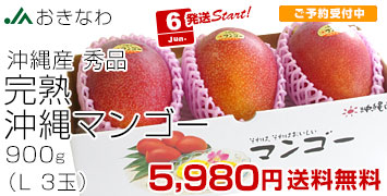 沖縄マンゴー　秀品　3玉