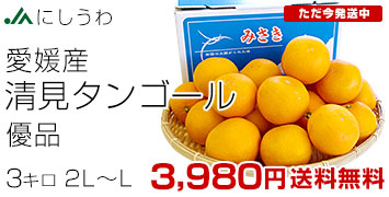 清見オレンジ優品3キロ