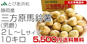 三方原馬鈴薯 2ＬからLサイズ 10キロ