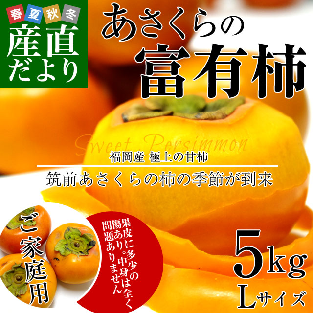 あさくら富有柿家庭用5キロ