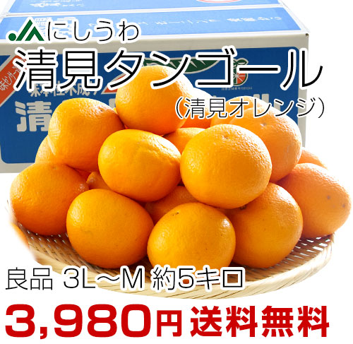 清見オレンジ良品3L5kg