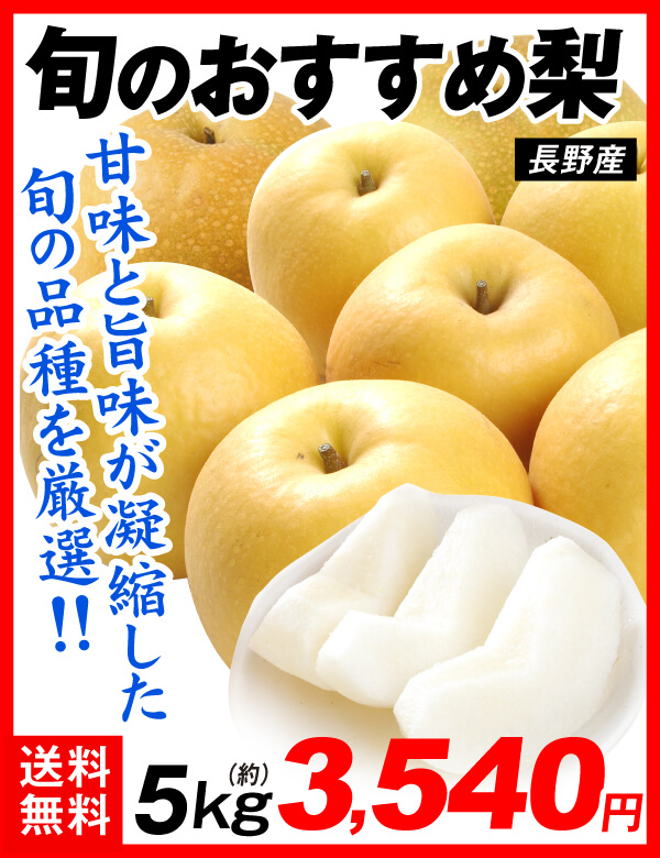 長野おすすめ梨