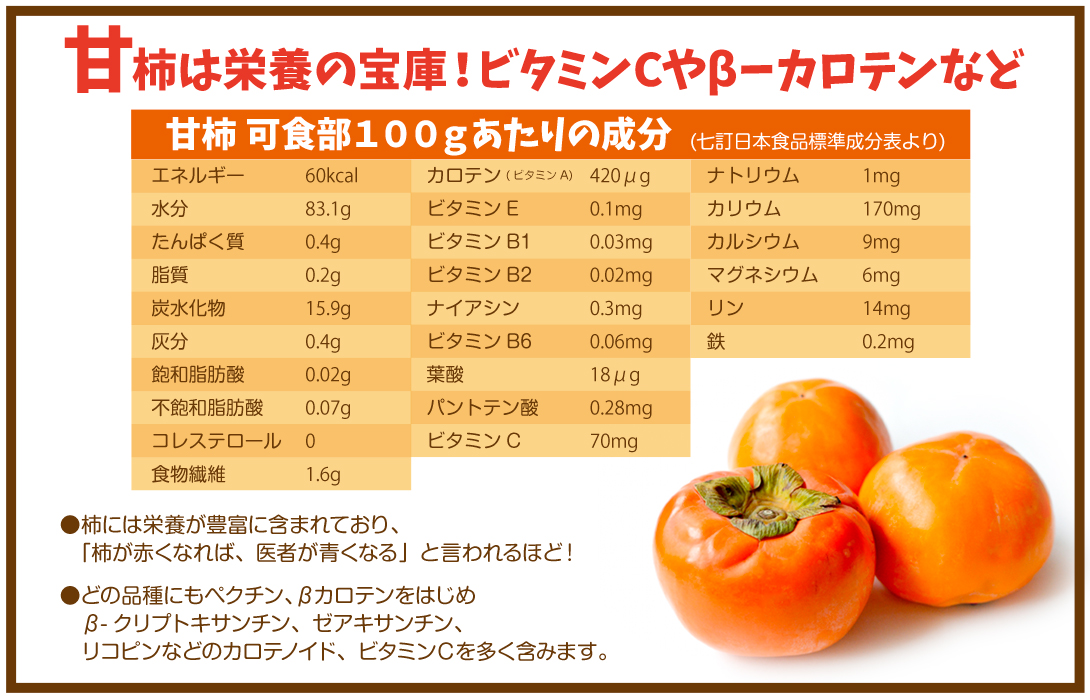 柿 約10kg 次郎 大特価 愛知産 ご家庭用 訳あり 送料無料 食品