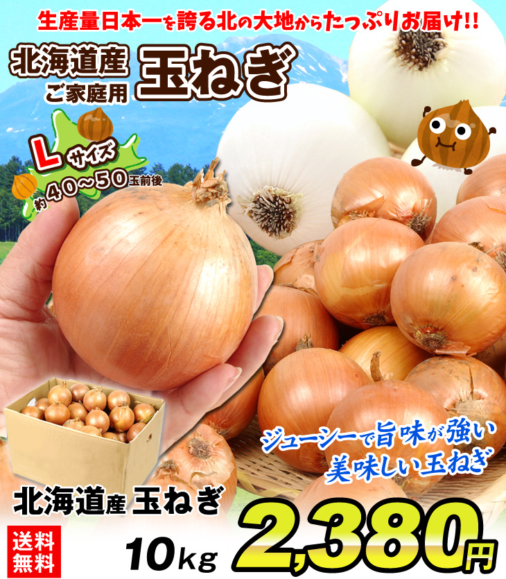 たまねぎ 北海道産 たまねぎ（10kg）Lサイズ 玉葱 ご家庭用 大量 野菜 国華園 :f82045:食みらい・国華園 - 通販 -  Yahoo!ショッピング