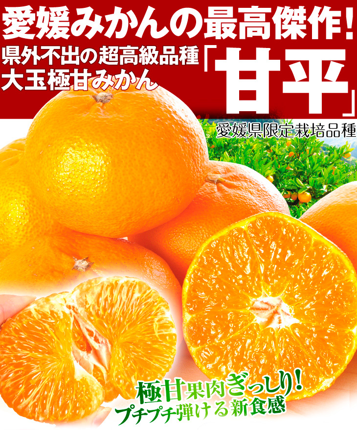 愛媛県産 甘平 柑橘 みかん 10kg - フルーツ
