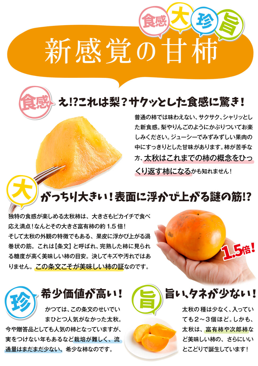 和歌山県産　美味しい　たねなし柿　5kg 硬め　42