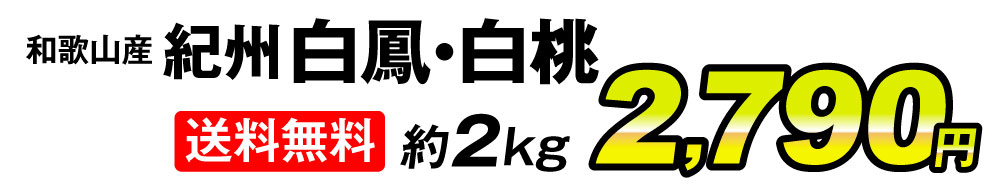 もも 約2kg 和歌山産 紀州白鳳・白桃 ご家庭用 送料無料 食品 ｜ 国華園 通販サイト