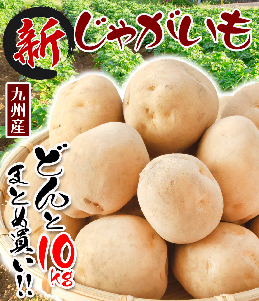 じゃがいも 九州産 10kg 送料無料 芋 馬鈴薯 食品 ｜ 国華園 通販サイト