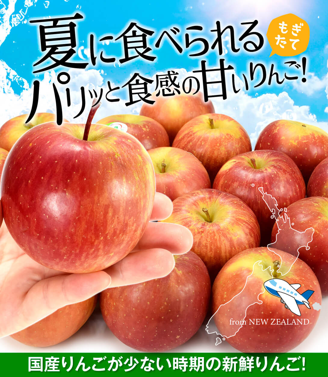 りんご 約2kg ニュージーランド産 プリンス ロイヤルガラ ダズル（約16玉）新物 林檎 フルーツ 国華園