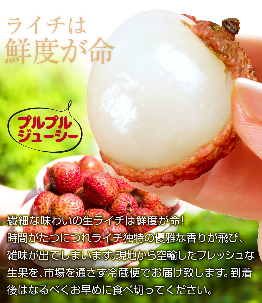 ライチ 2kg 種なし 生ライチ 広東省産 茘枝 冷蔵便 送料無料 食品
