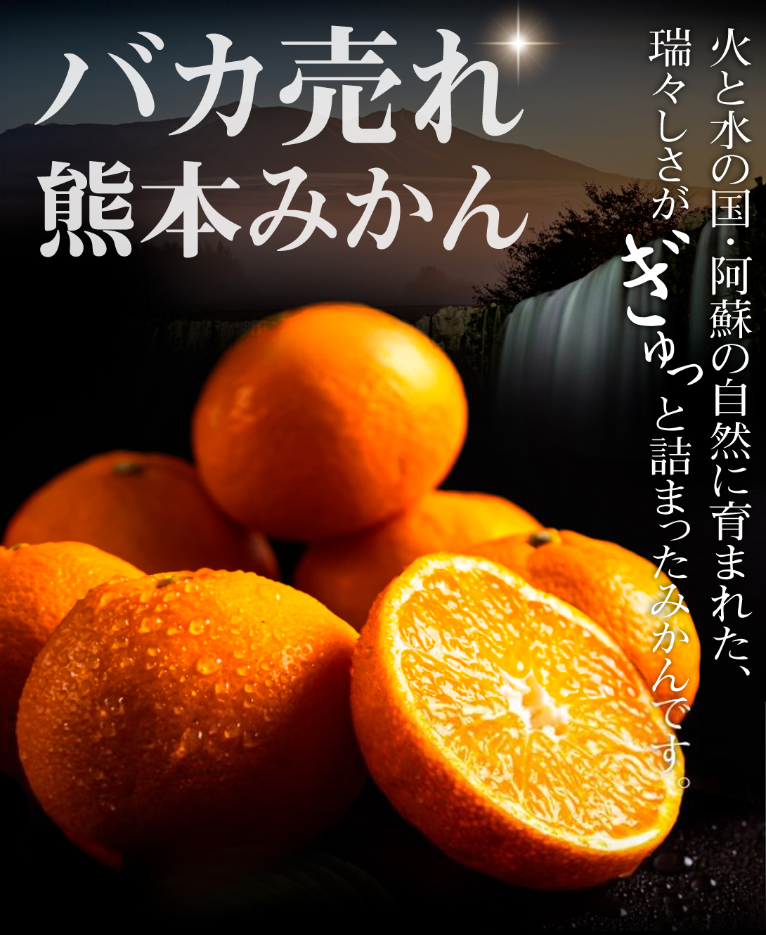 バカ売れ