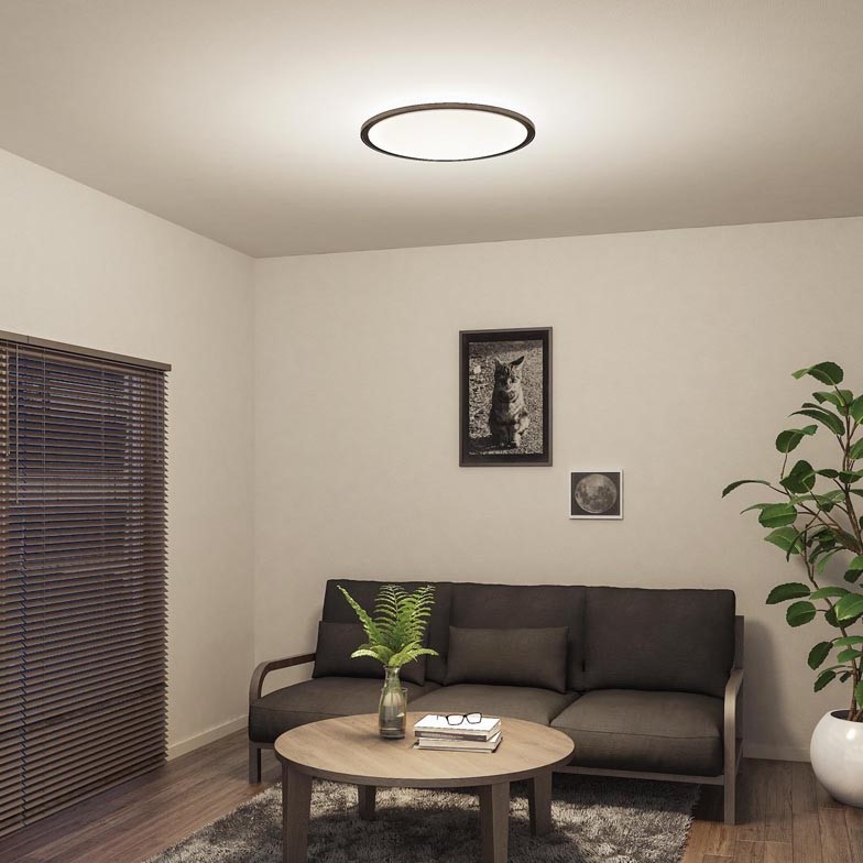 シーリングライト天井 照明器具 LED おしゃれ 10畳 リビング 寝室 色の変化を楽しむ 木調　シンプル リモコン付属 調光 調色