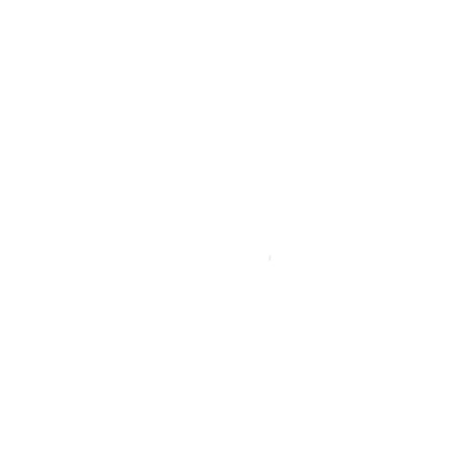 chippewa logo