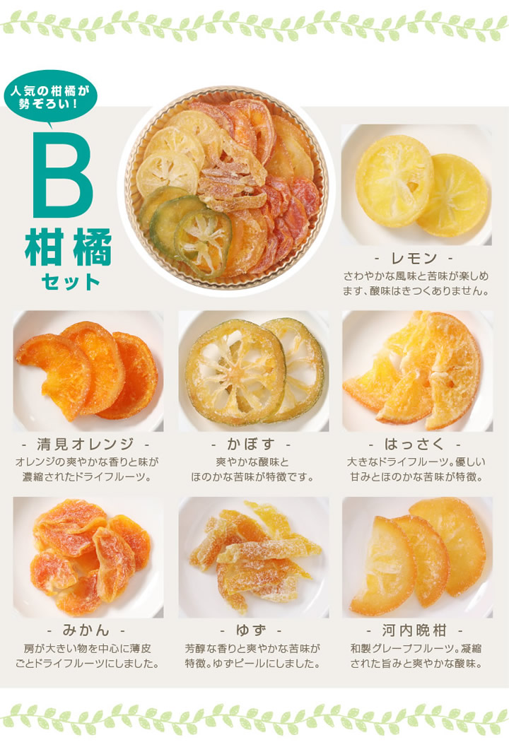 B柑橘セット：レモン オレンジ 河内晩柑 はっさく みかん ゆず かぼす