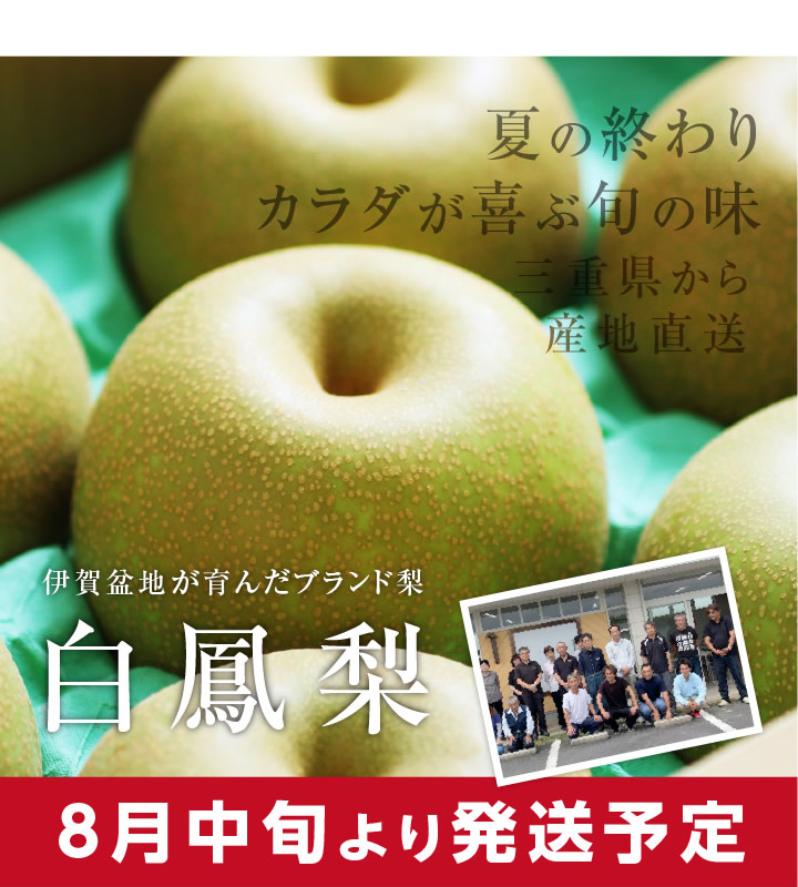 2.栃木県産 採りたて梨 みずみずしい なし 梨 小玉 箱込み3kg 家庭用美品 通販